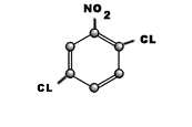 2-5 DI CHLORO NITRO BENZENE