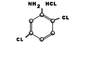 2-5 DI CHLORO ANLINE HYDRO - CHLORIDE